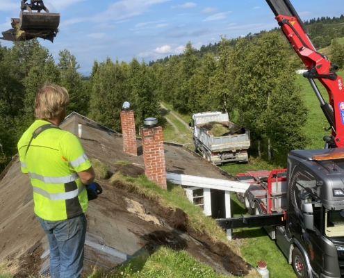 Naturtorv AS - Vi Fornyer Eller Bytter Torvtaket Ditt